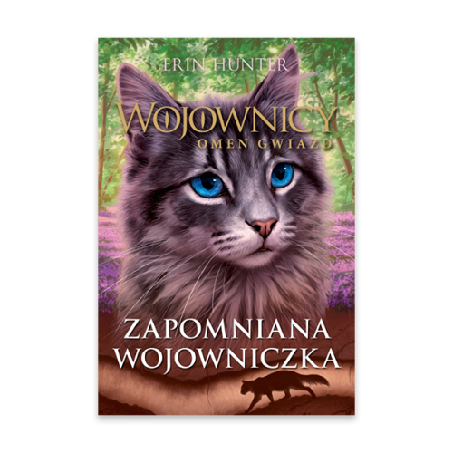 ZapomnianaWojowniczka.png
