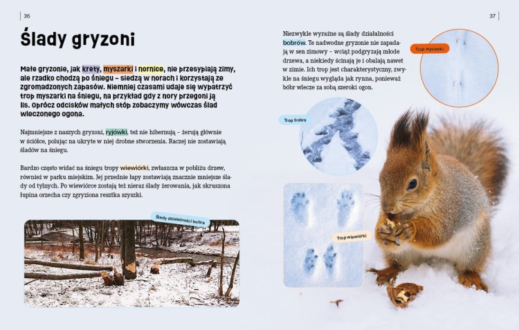 Młodzi przyrodnicy. Zima w świecie przyrody3.jpg