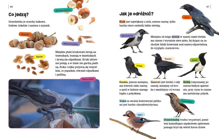 Młodzi przyrodnicy. Zima w świecie przyrody4.jpg