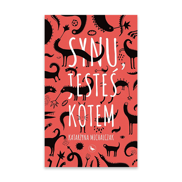 Synu, jesteś kotem.png