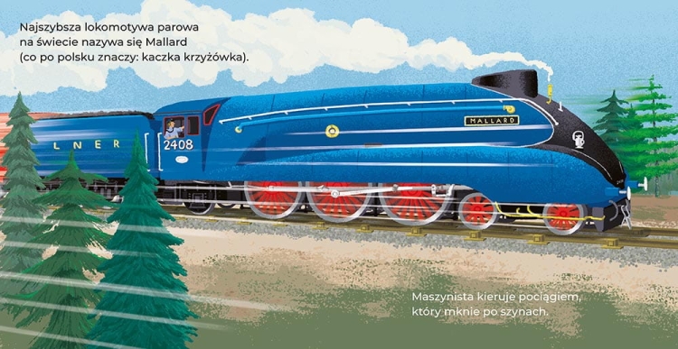 koła idą w ruch3.jpg