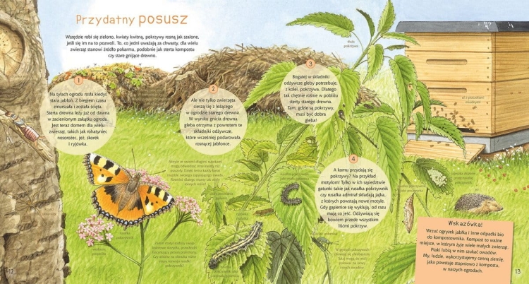 Przyjaciele z lasu i łąki4.jpg