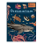 Oceanarium. Muzeum Oceanu.png