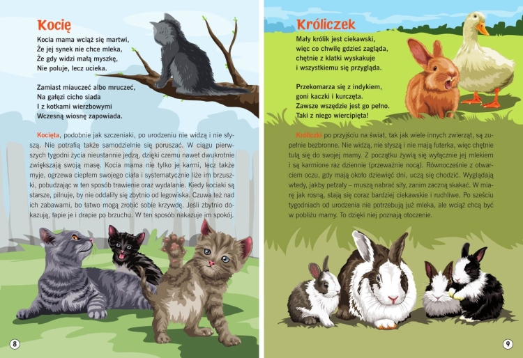 Dzieci zwierząt. Moja przyroda5.png