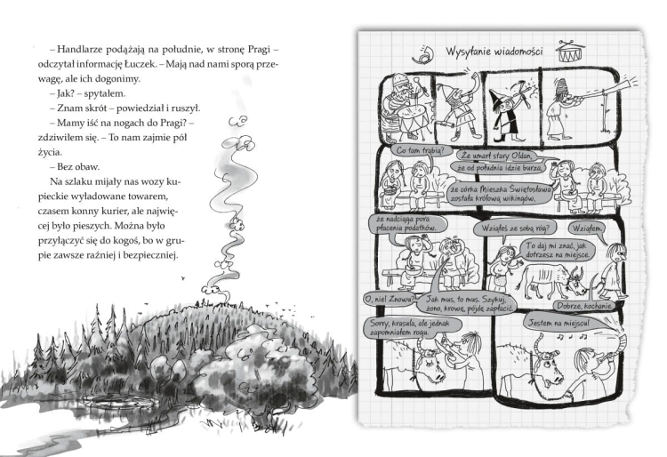 Mieszko, ty wikingu!. Ale historia...3.png