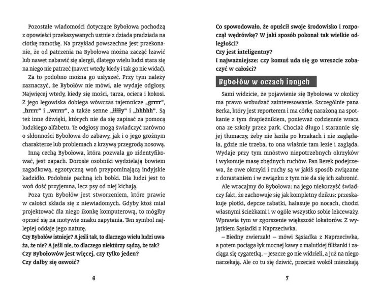 Sara, Kuba i rozróba. Czytam, bo lubię4.png
