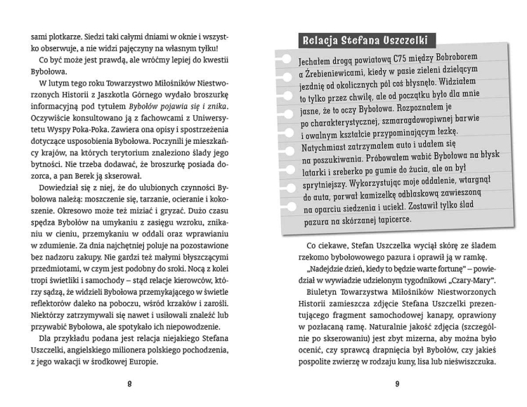 Sara, Kuba i rozróba. Czytam, bo lubię5.png