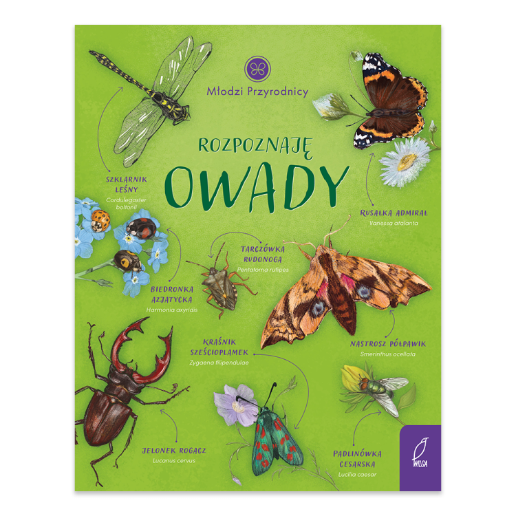 Rozpoznaję owady. Młodzi przyrodnicy - księgarnia Natuli.png