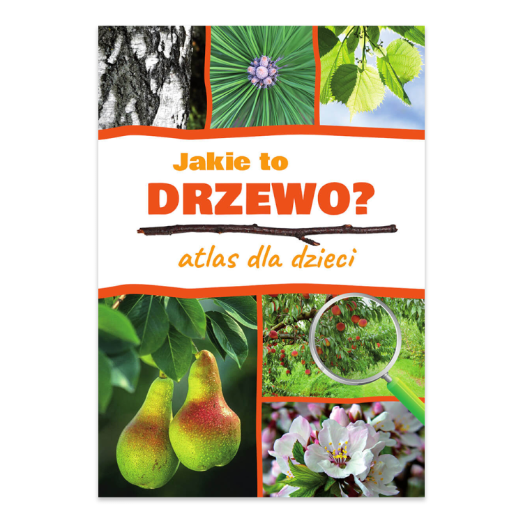 Jakie to drzewo Atlas dla dzieci - księgarnia Natuli.png