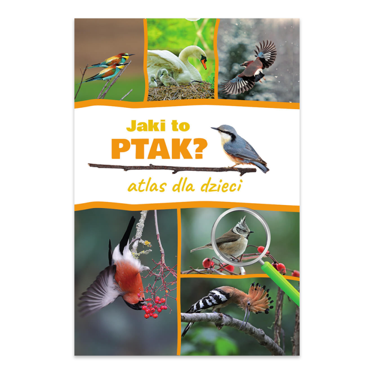 Jaki to ptak Atlas dla dzieci - księgarnia Natuli.png