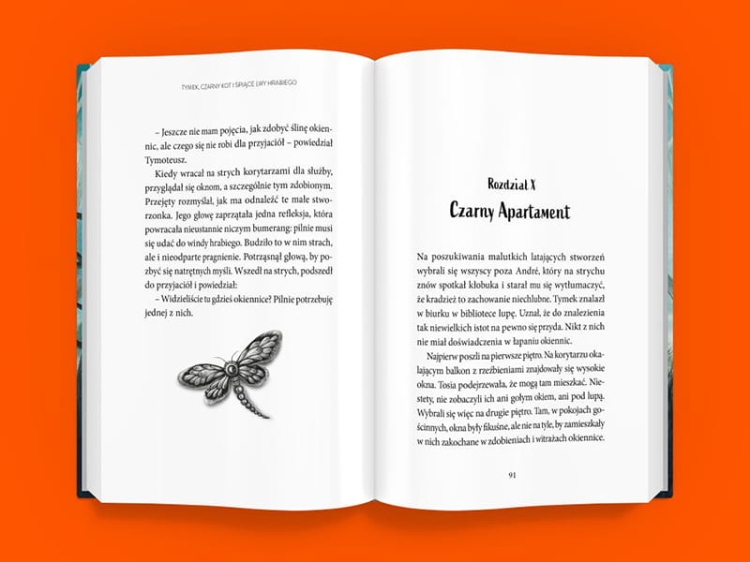 Tymek, Czarny Kot i śpiące lwy hrabiego_4 - księgarnia Natuli.png