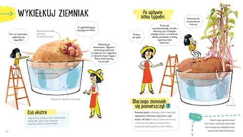 Ziemniak. Akademia mądrego dziecka. Przygody z nauką_2 - księgarnia Natuli.png
