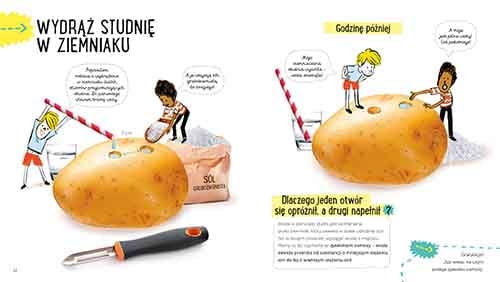 Ziemniak. Akademia mądrego dziecka. Przygody z nauką_3 - księgarnia Natuli.png