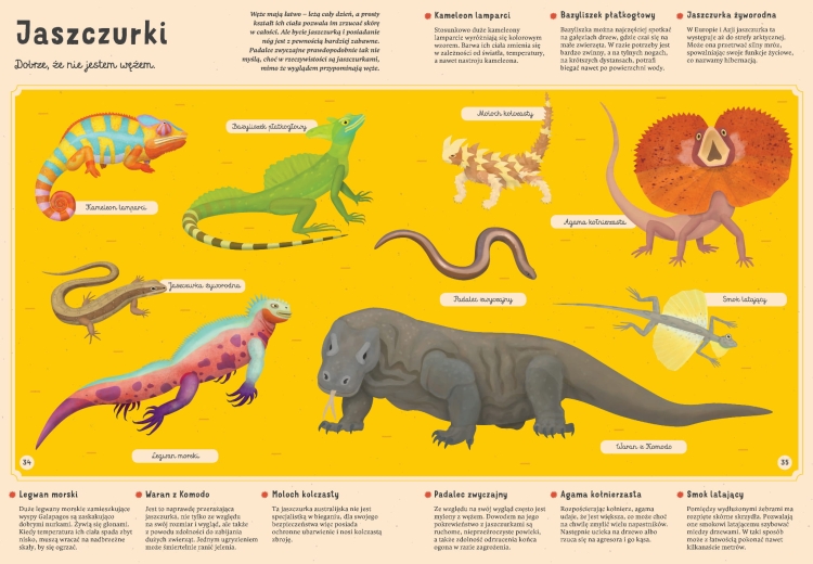 Moje własne zoo. Odkrywamy tajemniczy świat zwierząt_3 - księgarnia Natuli.png