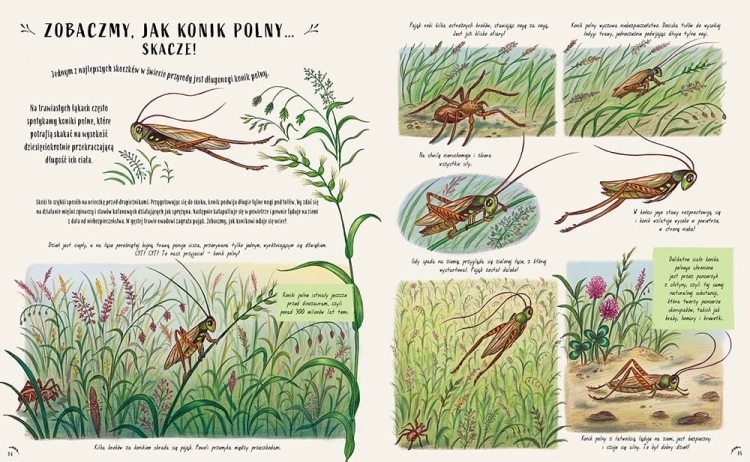 Slow Down. Bądź tu i teraz. Opowieści o przyrodzie, które sprawią, że zachwycisz się małymi cudami natury_4 - księgarnia Natuli.png
