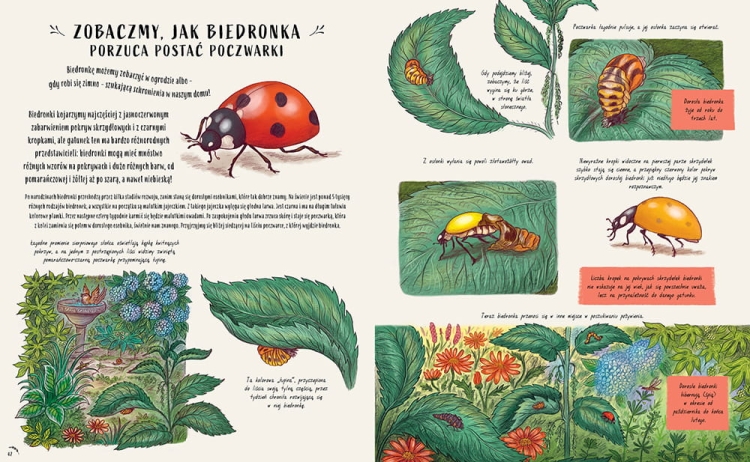 Slow Down. Bądź tu i teraz. Opowieści o przyrodzie, które sprawią, że zachwycisz się małymi cudami natury_5 - księgarnia Natuli.png