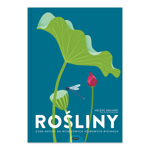 Rośliny. Cuda natury na wyjątkowych ażurowych ryci - księgarnia Natuli.png