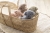 Tiamo Miffy Przytulanka Snuffie 25 cm Fluffy Pink_5.jpg