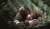Harry Potter i Zakon Feniksa (wydanie ilustrowane). Tom 5_5.webp