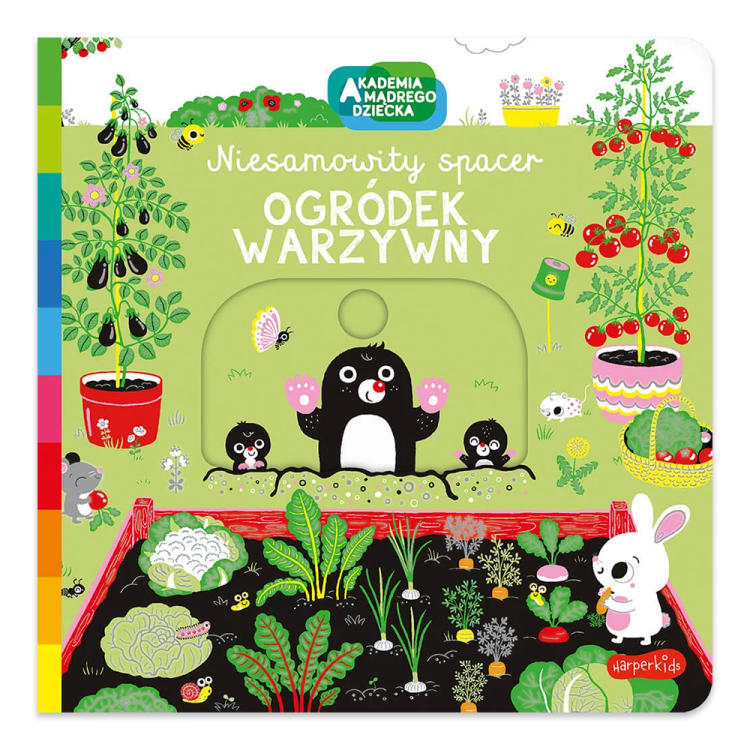 Ogródek warzywny. Akademia mądrego dziecka. Niesamowity spacer.png