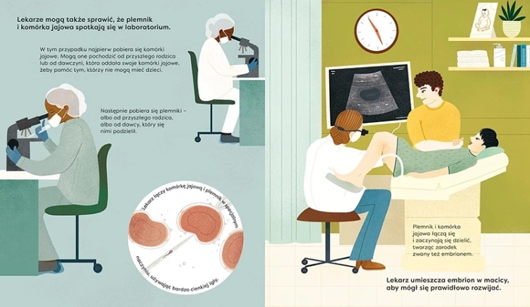 Jak powstaje dziecko. Akademia mądrego dziecka. Chcę wiedzieć więcej_3.webp