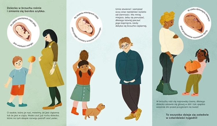 Jak powstaje dziecko. Akademia mądrego dziecka. Chcę wiedzieć więcej_5.webp