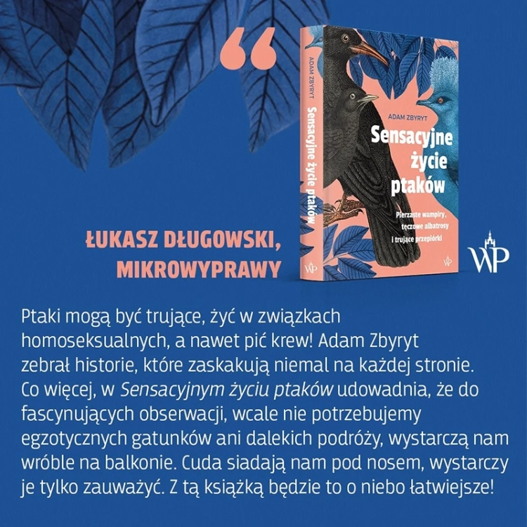 Sensacyjne życie ptaków_3.webp