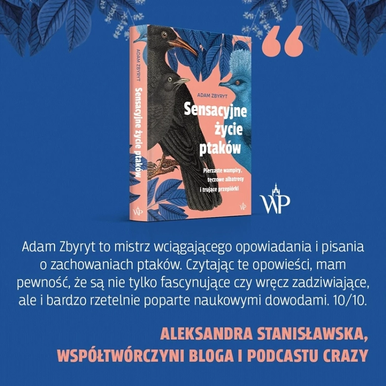 Sensacyjne życie ptaków_4.webp
