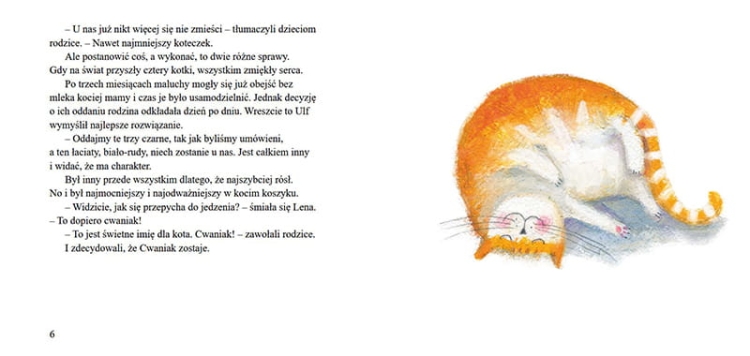 Cwaniak. Kot z wyspy wikingów_5.png