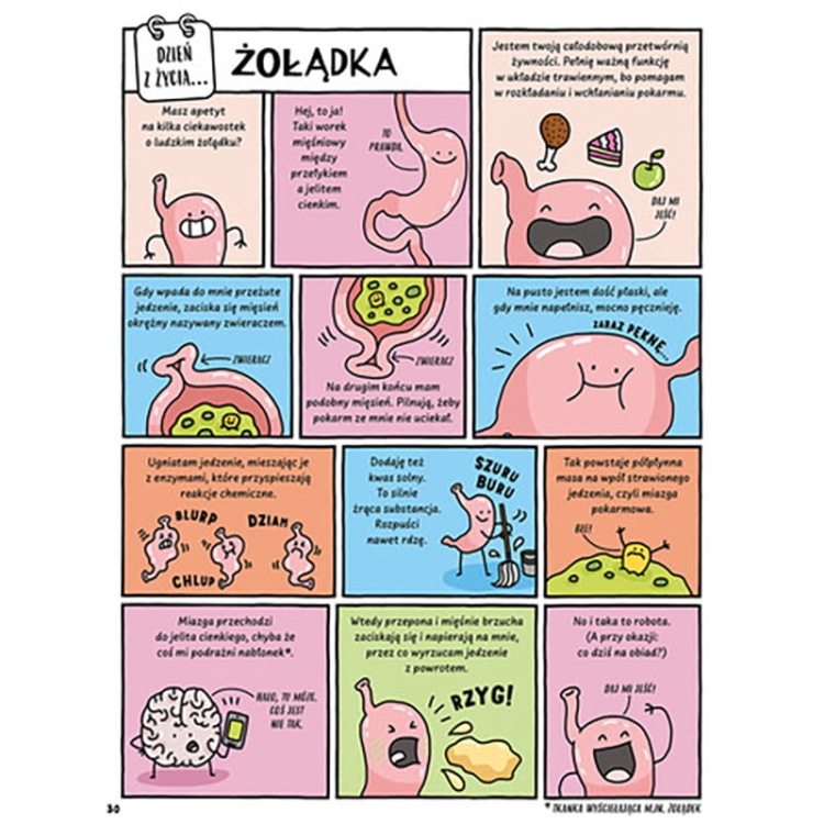 Dzień z życia skunksa, jelita i tego, kto to czyta_2.jpg