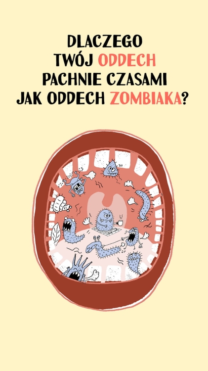 Bebechy_2.jpg