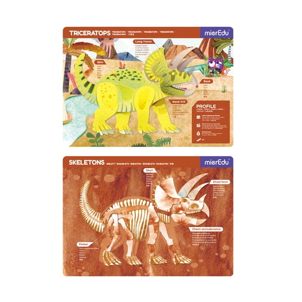 Zabawa magnetyczna - Triceratops_2.jpg