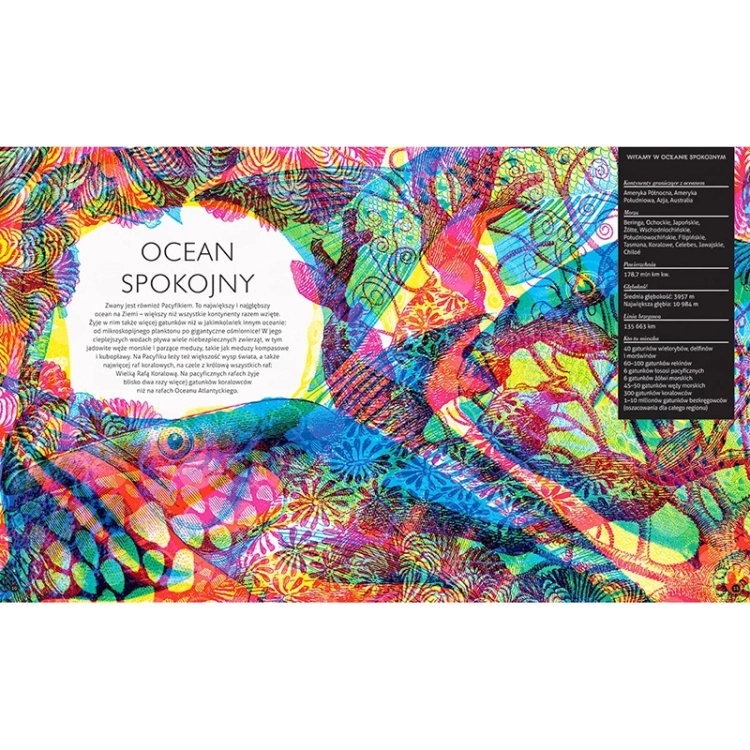 Gabinet oceanów_2.webp