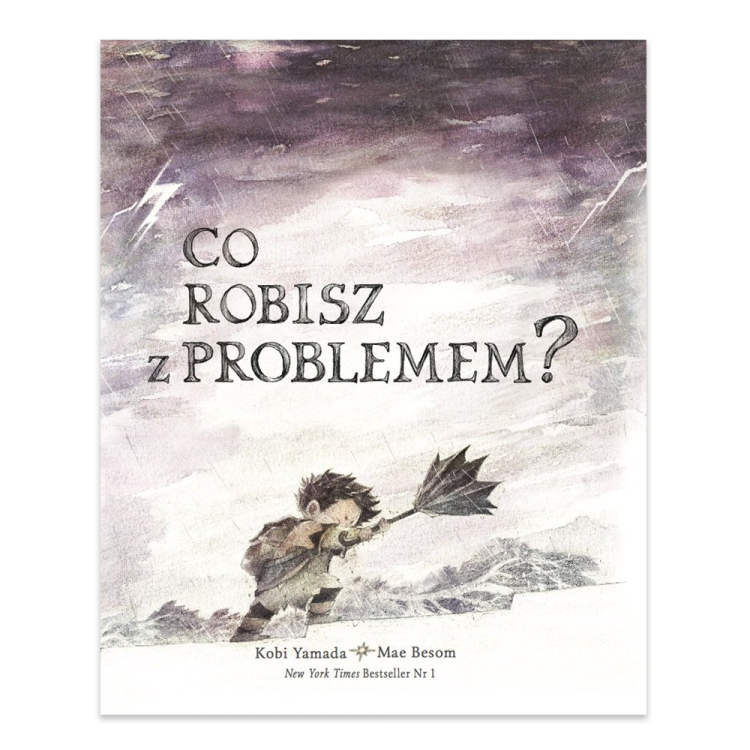Co robisz z problemem.png