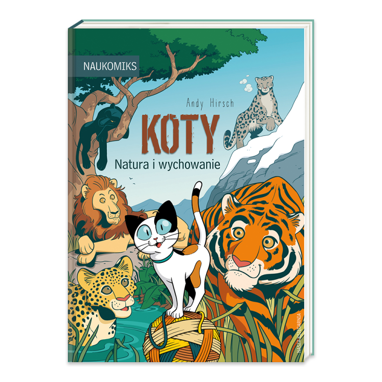 Koty.png