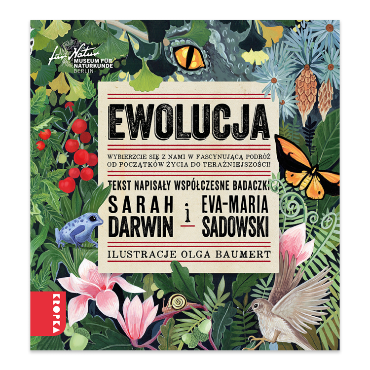 Ewolucja.png