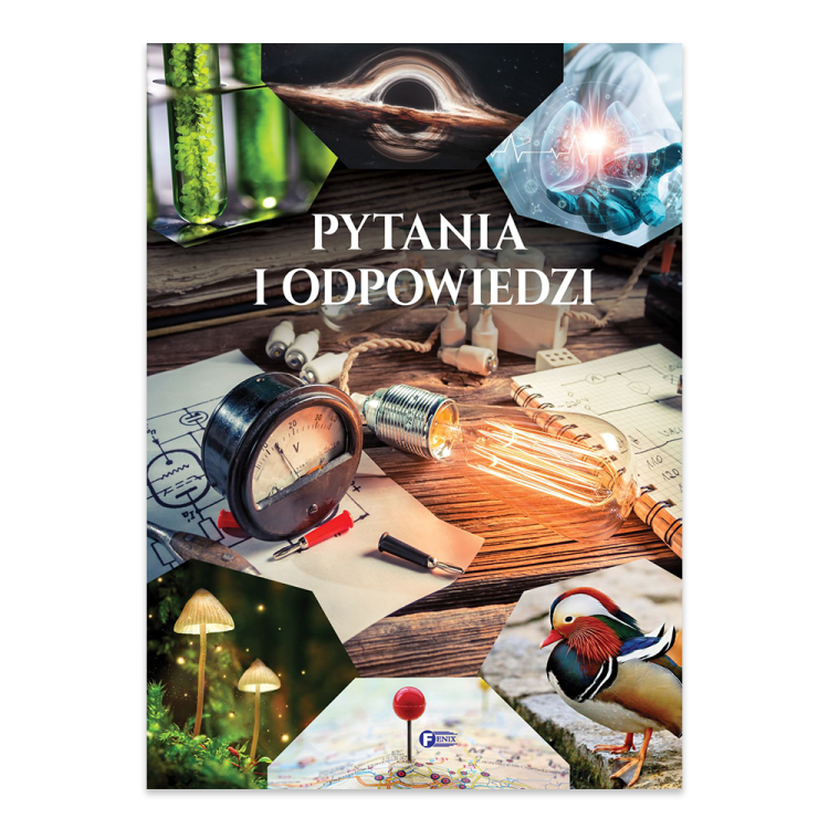 Pytania i odpowiedzi.png