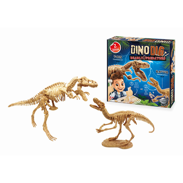 Mały archeolog - 2 SZKIELETY DINOZAURÓW.png