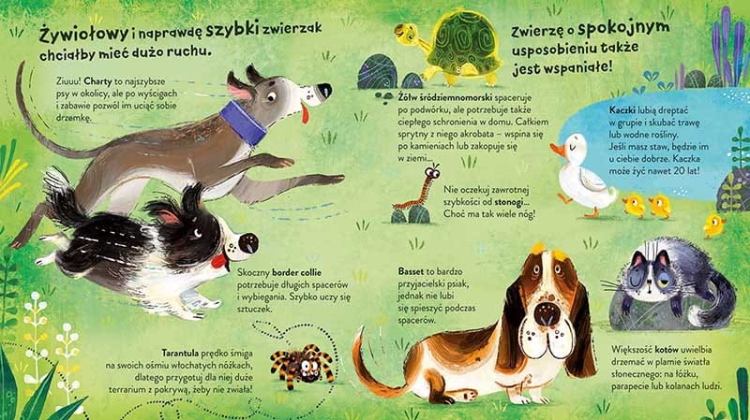 Jakie zwierzę wybrać. Ważne sprawy przedszkolaka2.png