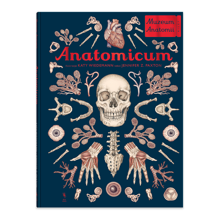 Anatomicum.png