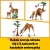 LEGO Creator Dzikie zwierzęta z safari 311505.jpg