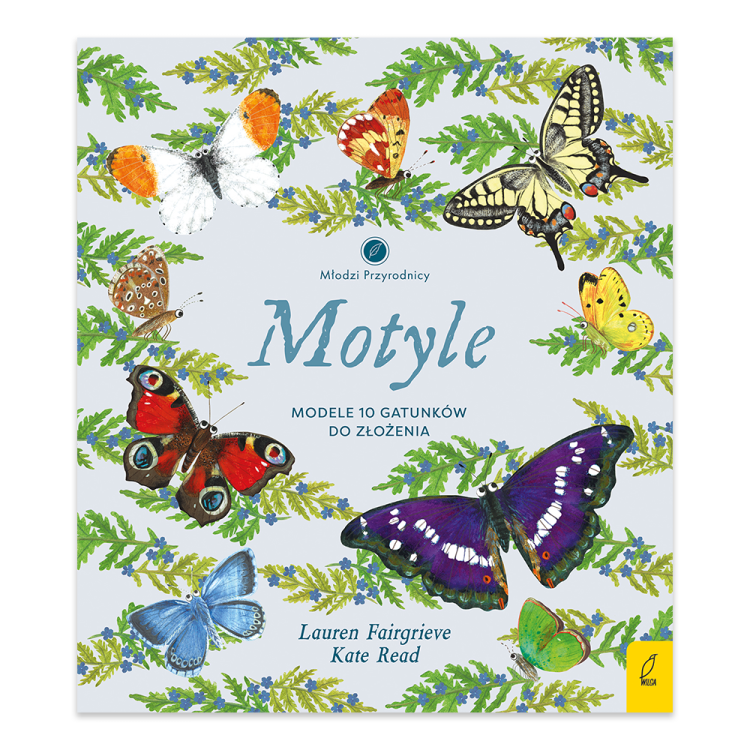 Motyle. Modele 3D. Młodzi przyrodnicy.png