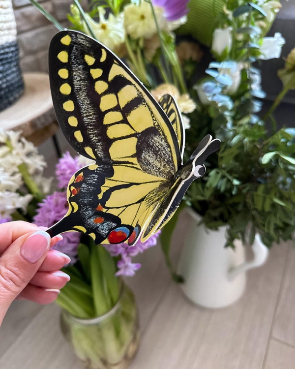 Motyle. Modele 3D. Młodzi przyrodnicy2.jpg