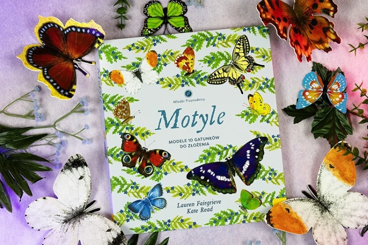 Motyle. Modele 3D. Młodzi przyrodnicy2.webp