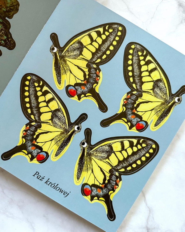 Motyle. Modele 3D. Młodzi przyrodnicy4.jpg