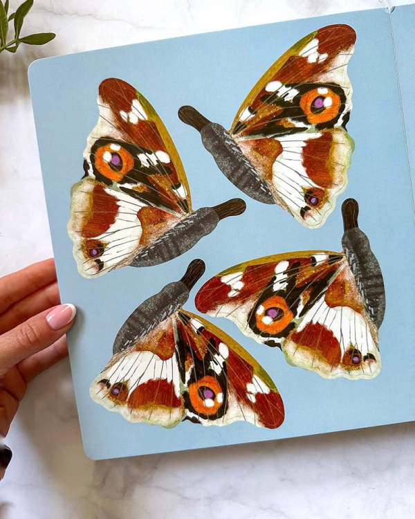 Motyle. Modele 3D. Młodzi przyrodnicy5.jpg