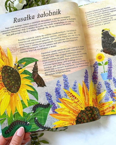 Motyle. Modele 3D. Młodzi przyrodnicy6.jpg