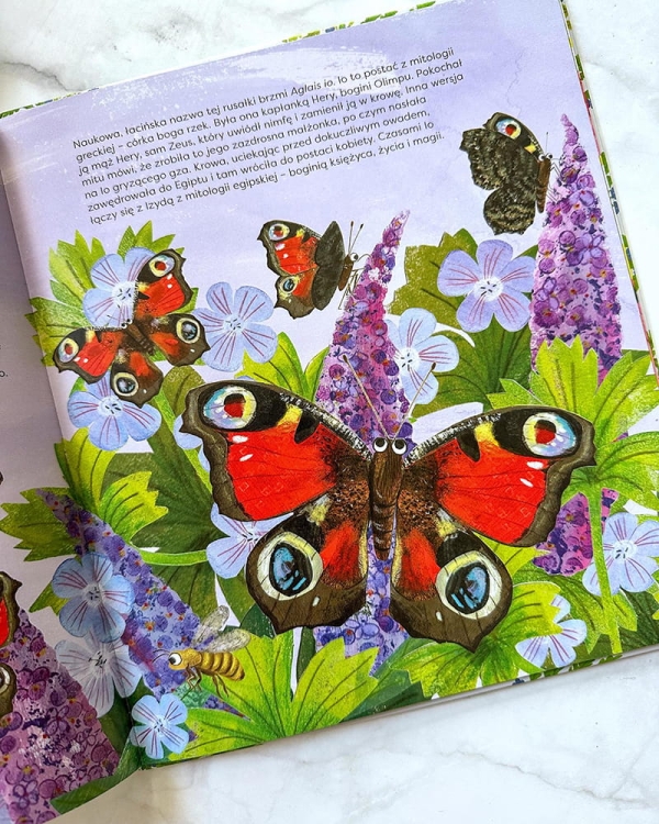 Motyle. Modele 3D. Młodzi przyrodnicy7.jpg