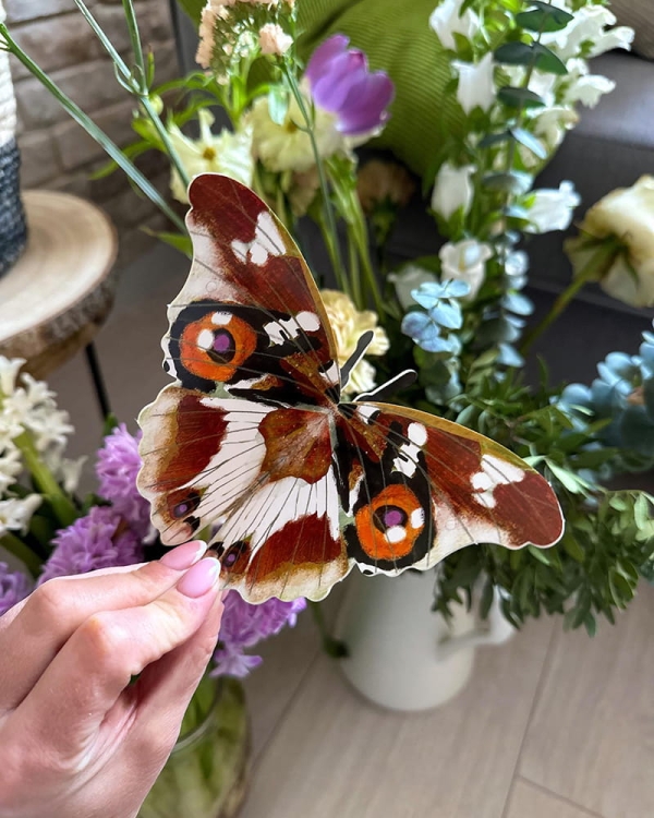 Motyle. Modele 3D. Młodzi przyrodnicy8.jpg