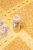 Petit Boum, Butelka obserwacyjna - FARMA4.png